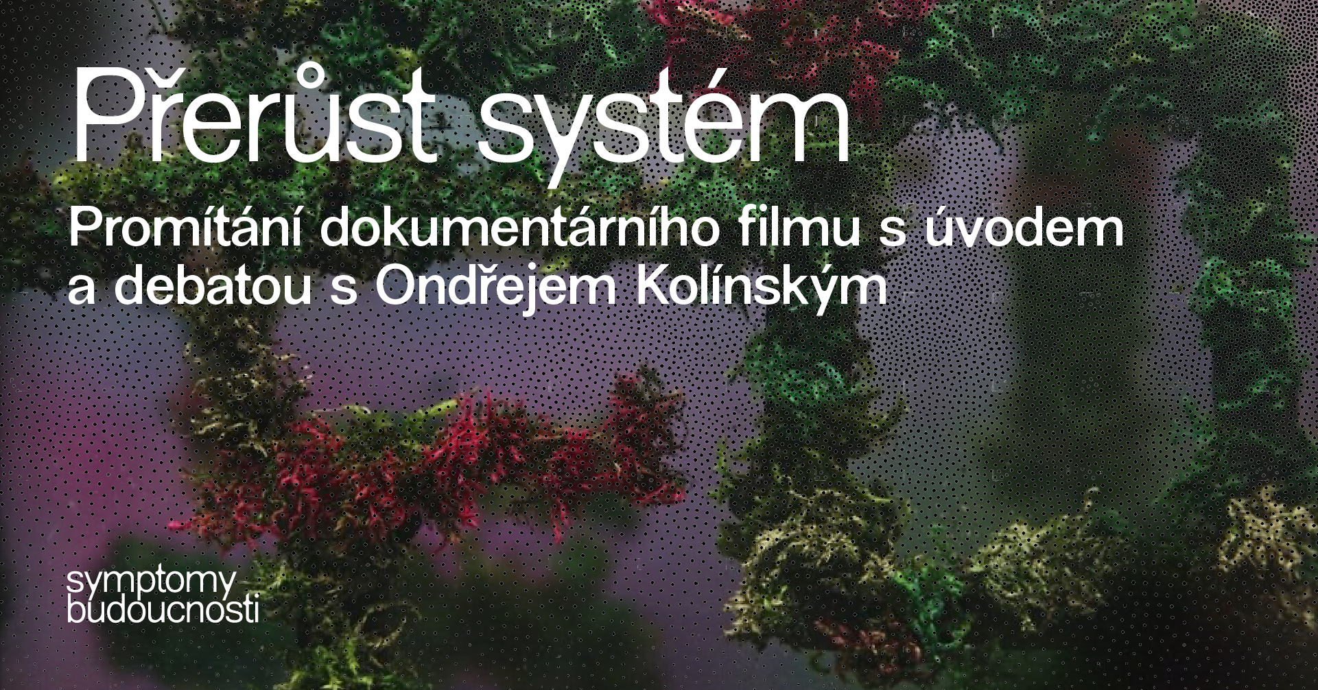 Přerůst systém (Outgrow the System)