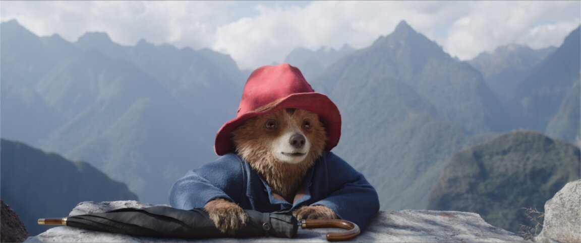 Paddington v džungli