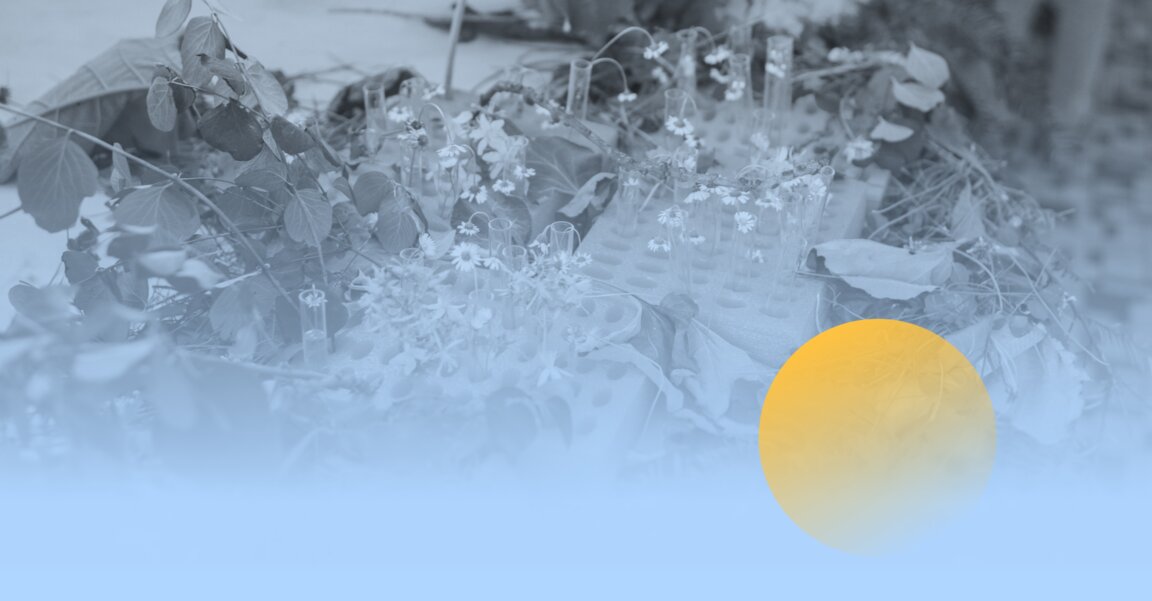 Web eventpitka_web