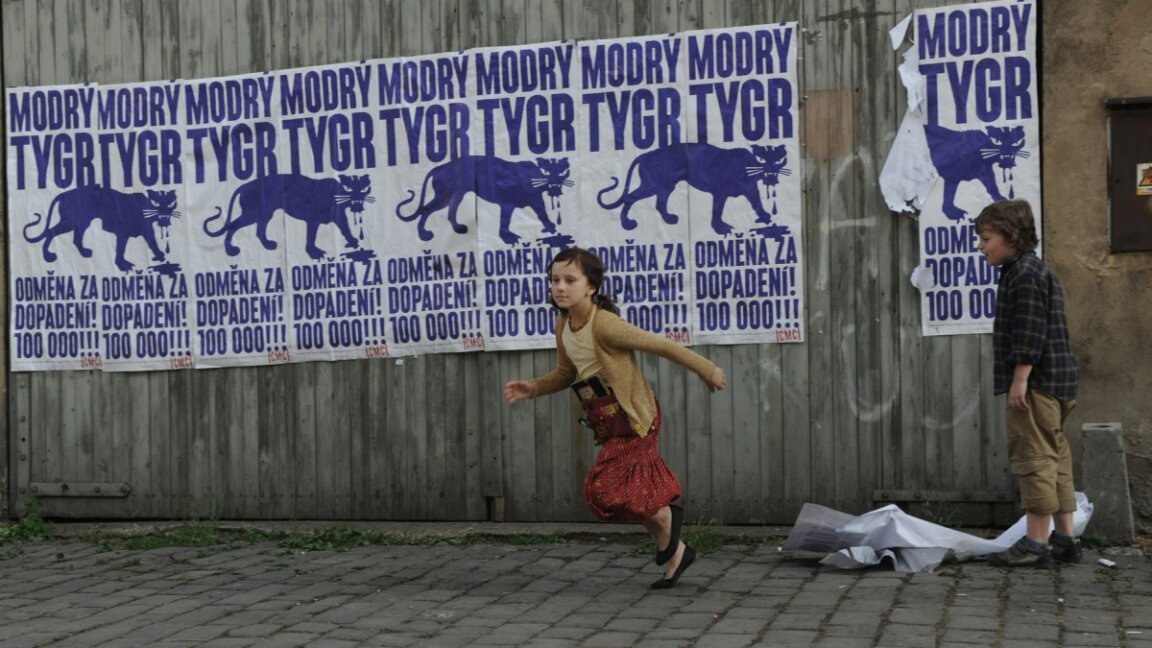 modrytygr
