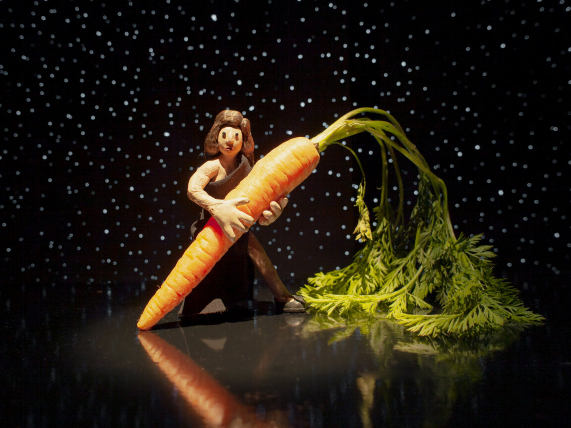 Shorts Mezipatra 2025