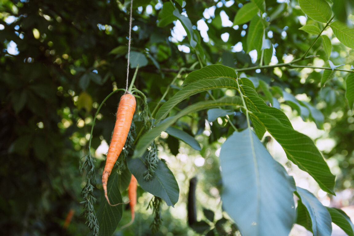 Svatojánská noc ve městě