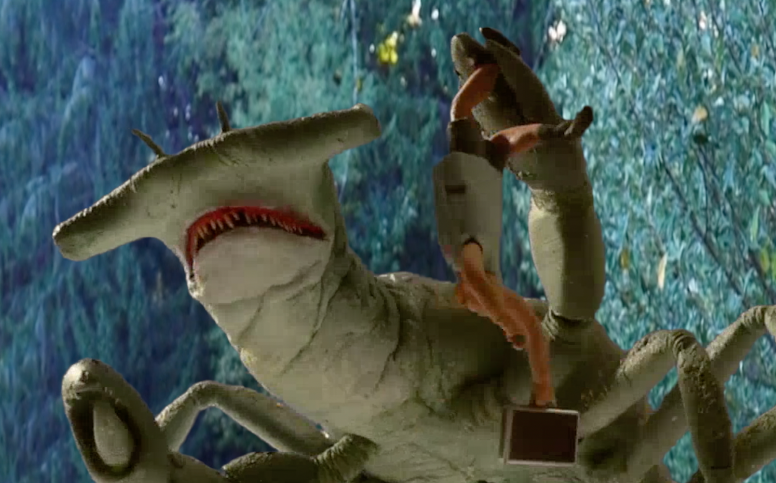 COCAINE-SHARK-5