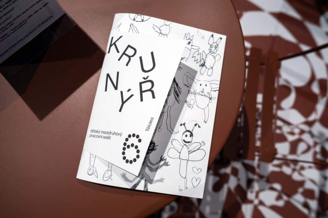Krunýř na&nbsp;kamenech. Putování s&nbsp;dětským pracovním sešitem Krunýř