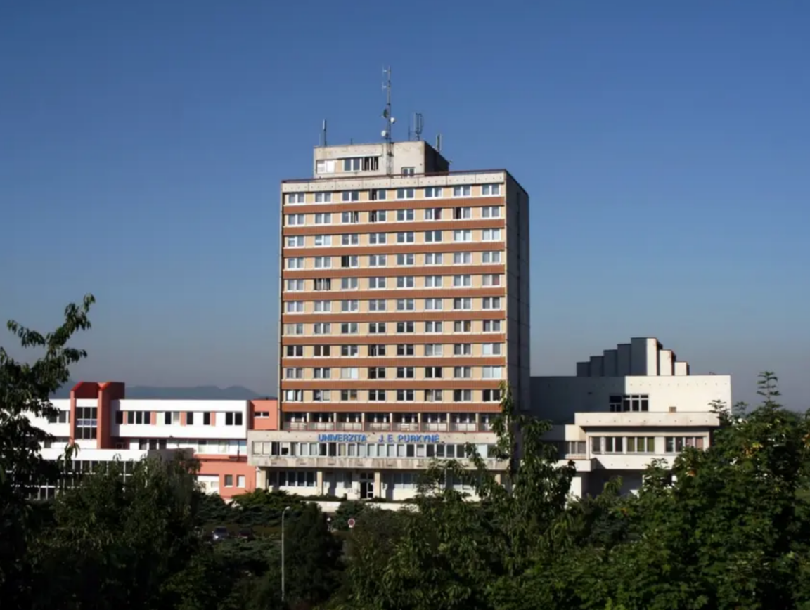 Bydlet město: Procházka, hostina, film