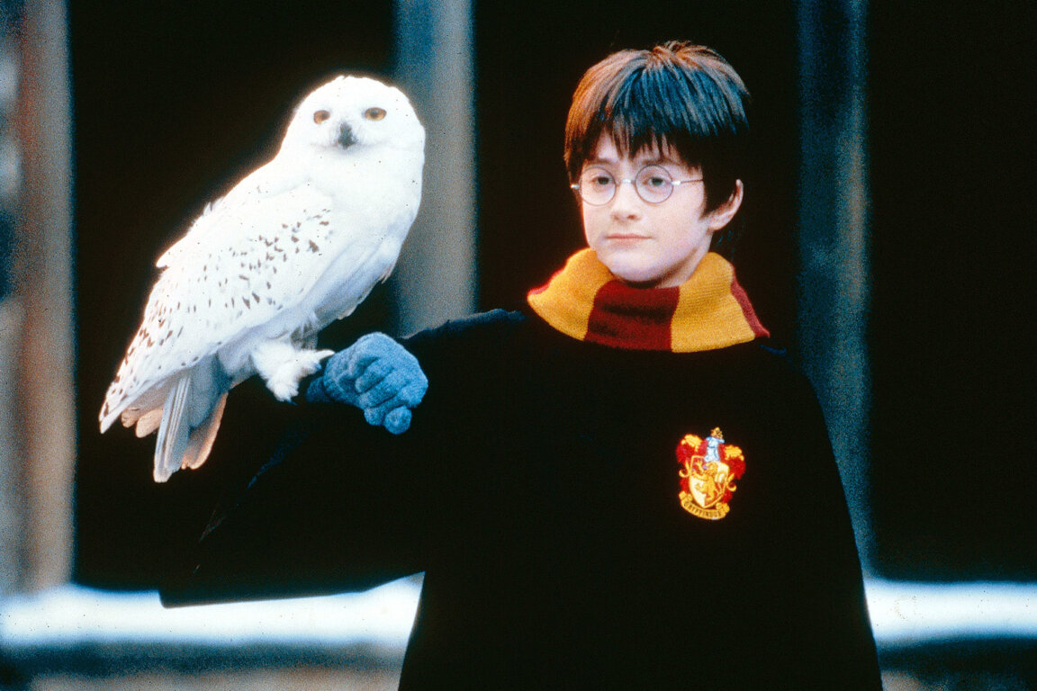 harry_web
